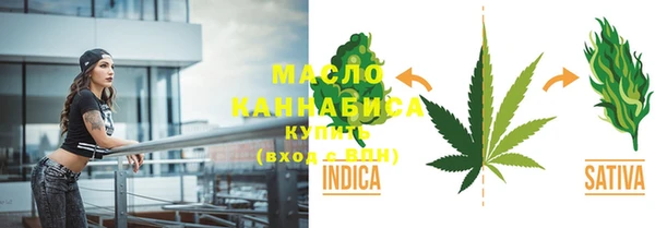 2c-b Горняк