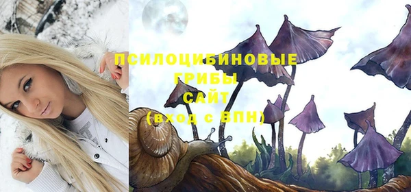 эйфоретик Вязники